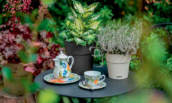 Stefanplast linea vasi Ethica