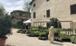 Borgo plantarum 2023