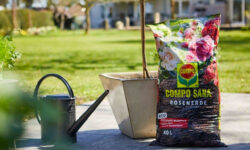 COMPO Terriccio Per Rose