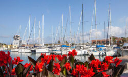 Yacht&Garden 2023 fiori e barche