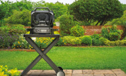 Barbecue elettrico Ninja Woodfire