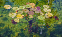 CONSERVA Della NEVE 2023 1