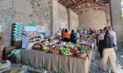 I Frutti Del Castello 2023