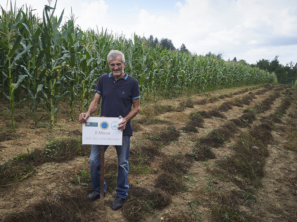 Elvio Bonino nel Suo campo di Mochi