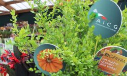 Garden Festival Autunno2023