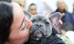 Quattrozampeinfiera2023