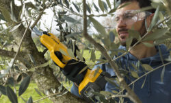 STIGA Potatore SC100e