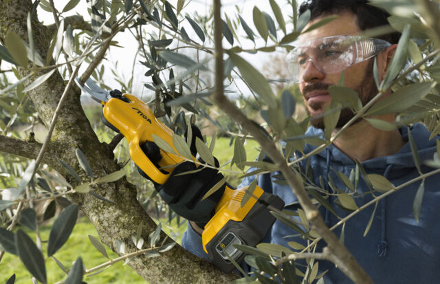 STIGA Potatore SC100e