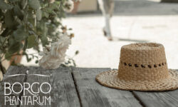Borgoplantarum 2023