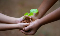 mani di mamma e bambino con terra e piantina