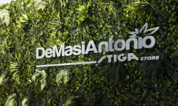 STIGA-DeMasi-marzo2024