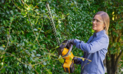 donna mentre taglia la siepe con il tagliasiepi della serie 300 di Stiga