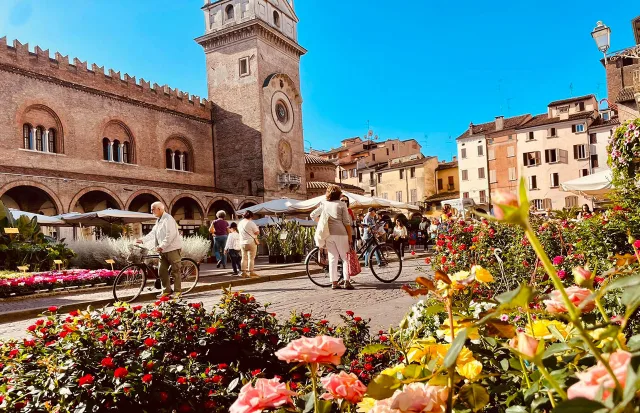 Mantova - il centro città