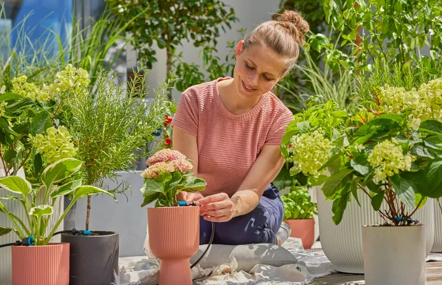 irrigazione a goccia per le piante in vaso