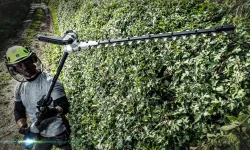 Tagliasiepi-EGO-HTX5310-PA