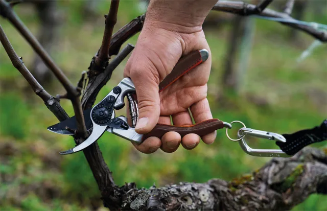 forbici da potatura Elite di Felco