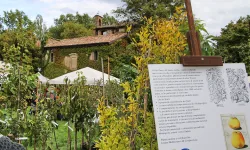 Frutti-del-Castello-2024 al Castelo di Paderna