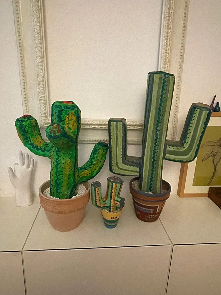 CACTUS IN CARTA E RETE METALLICA