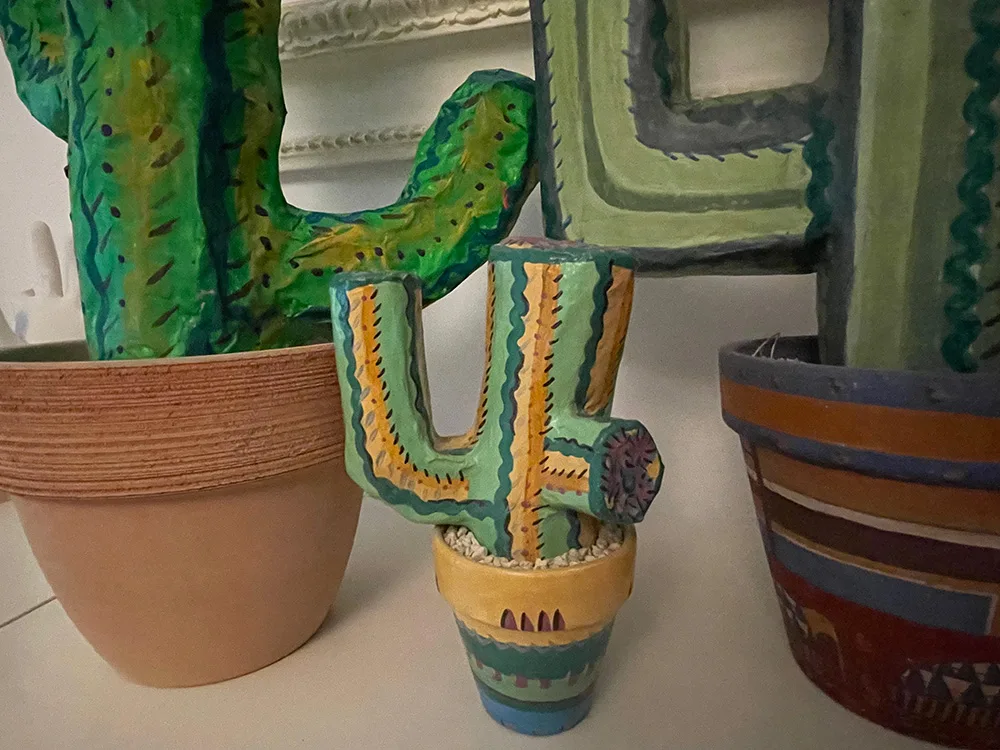 CACTUS IN CARTA E RETE METALLICA