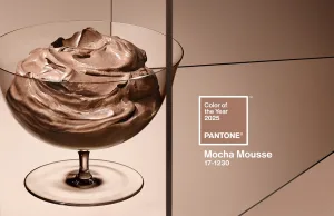 PANTONE-Mocha Mousse - color-of-the-year-2025