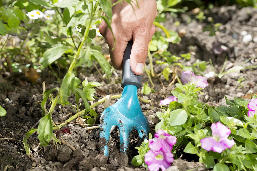 Forca per fiori Gardena