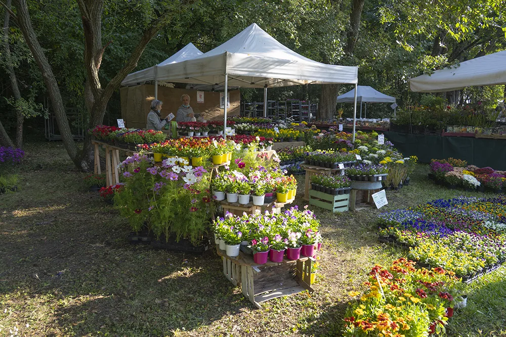I Frutti del-Castello al Castello di Paderna