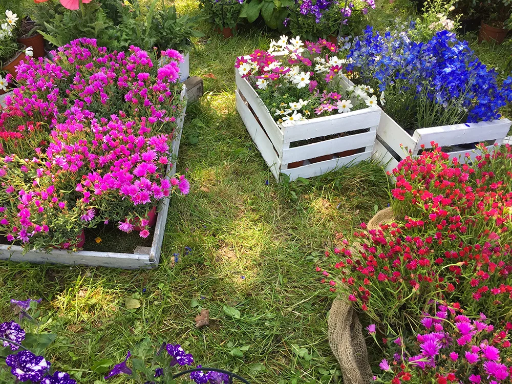 I Frutti del-Castello al Castello di Paderna