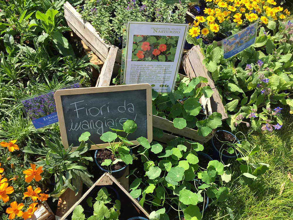 I Frutti del-Castello al Castello di Paderna