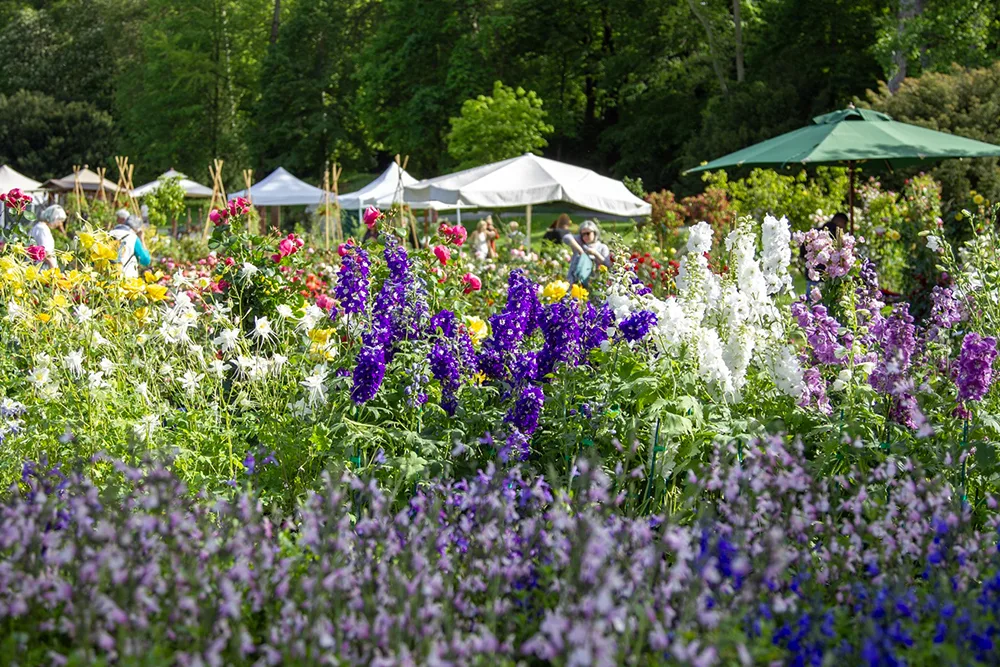 Tre Giorni per il Giardino
