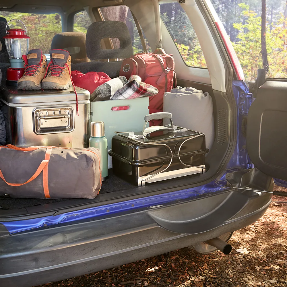 BARBECUE GO ANYWHERE WEBER