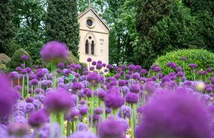 parco-giardino-sigurta