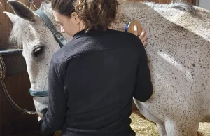 giovane donna striglia il cavallo