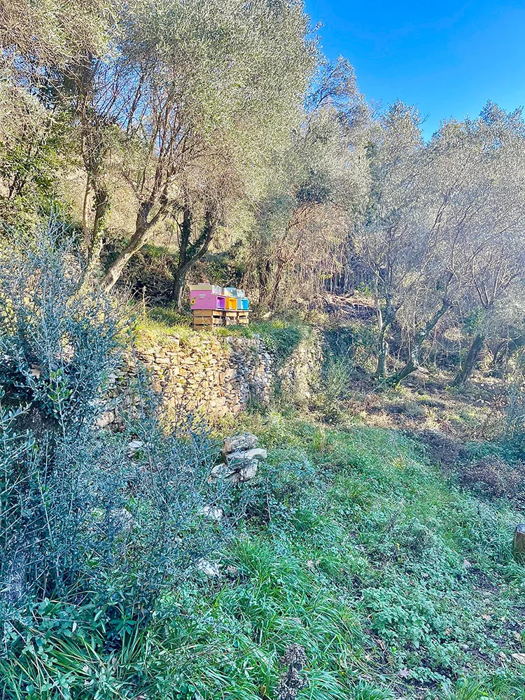 EINHELL sostiene Martina Bianchi nel progetto AMARTI