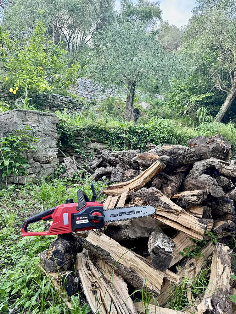 EINHELL sostiene Martina Bianchi nel progetto AMARTI