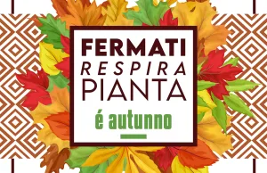 AICG-garden-festival-autunno-2025