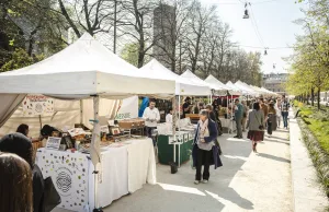 FLORA-ET-DECORA, gli stand