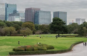 verde urbano e gratticieli sullo sfondo