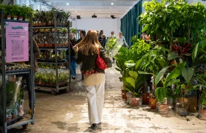 Mostra mercato Piantala a Milano