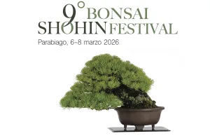 Bonsai-Shohin-Festival-Crespi-2026