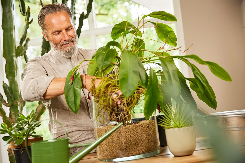 COMPO - Bio Granuplant