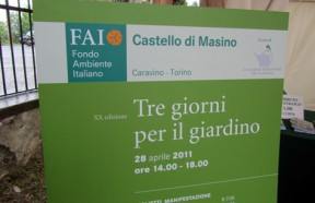 Masino2011-a