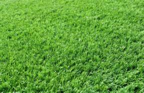 pratoartificiale-installare-a