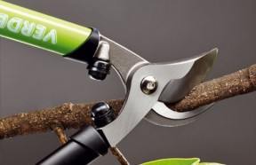 verdemax-troncarami-a